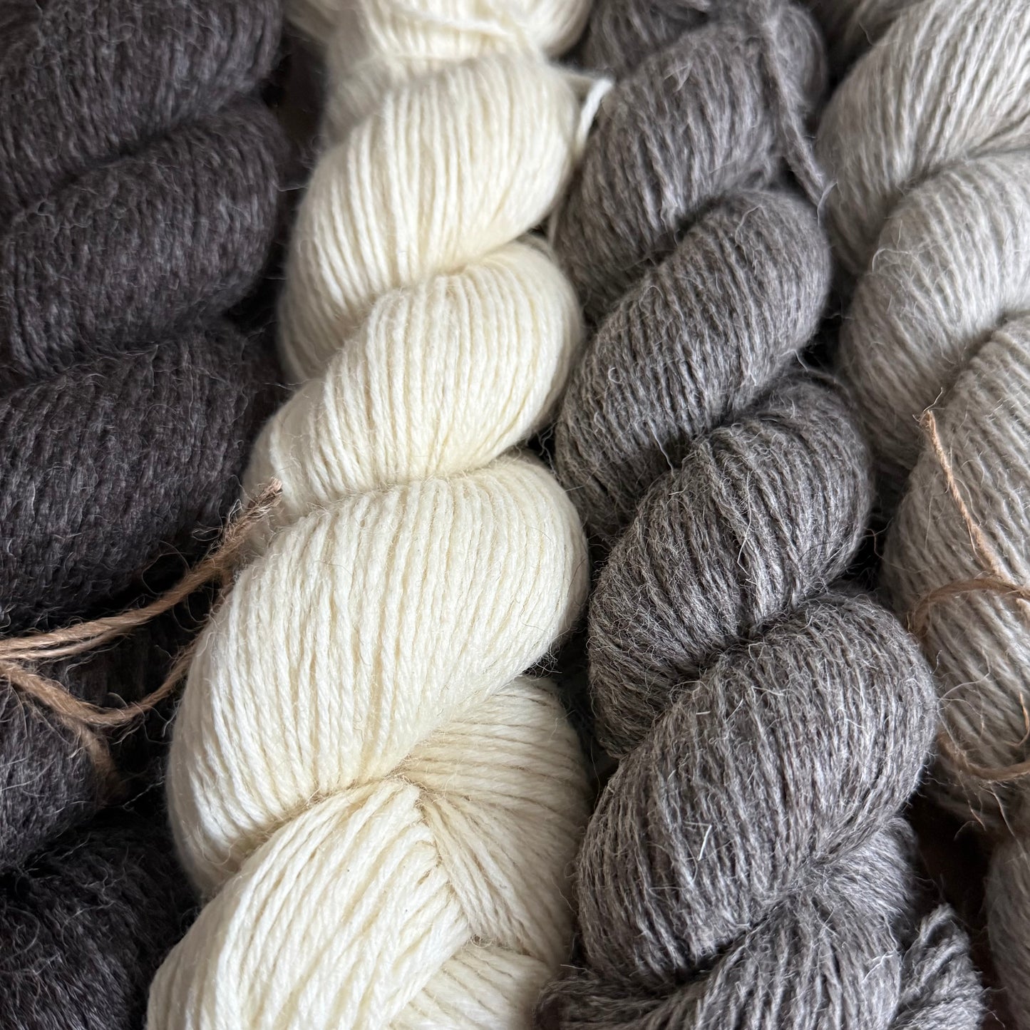 Pure British Breeds DK Yarn by Baa Ram Ewe, 100g Hank, Undyed Wool Yarn