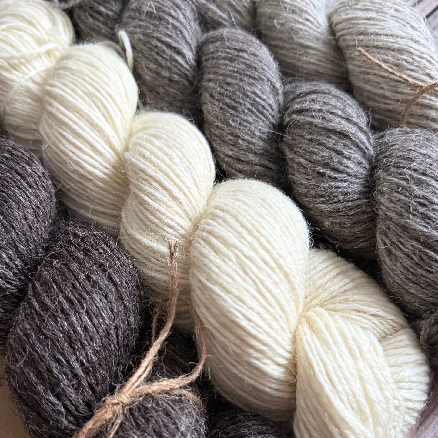 Pure British Breeds DK Yarn by Baa Ram Ewe, 100g Hank, Undyed Wool Yarn