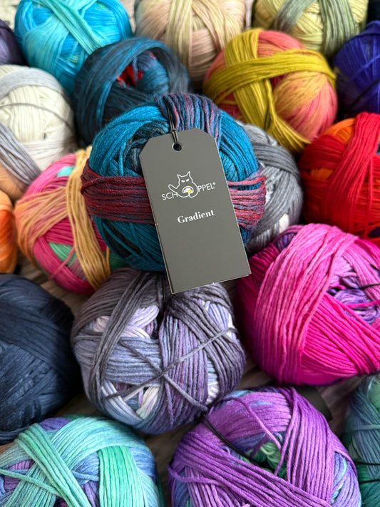 Schoppel Wolle Gradient Yarn 100g