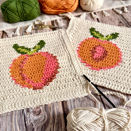 Peachy Clean Summer Dishcloth or Washcloth Tapestry Crochet Pattern Bundle