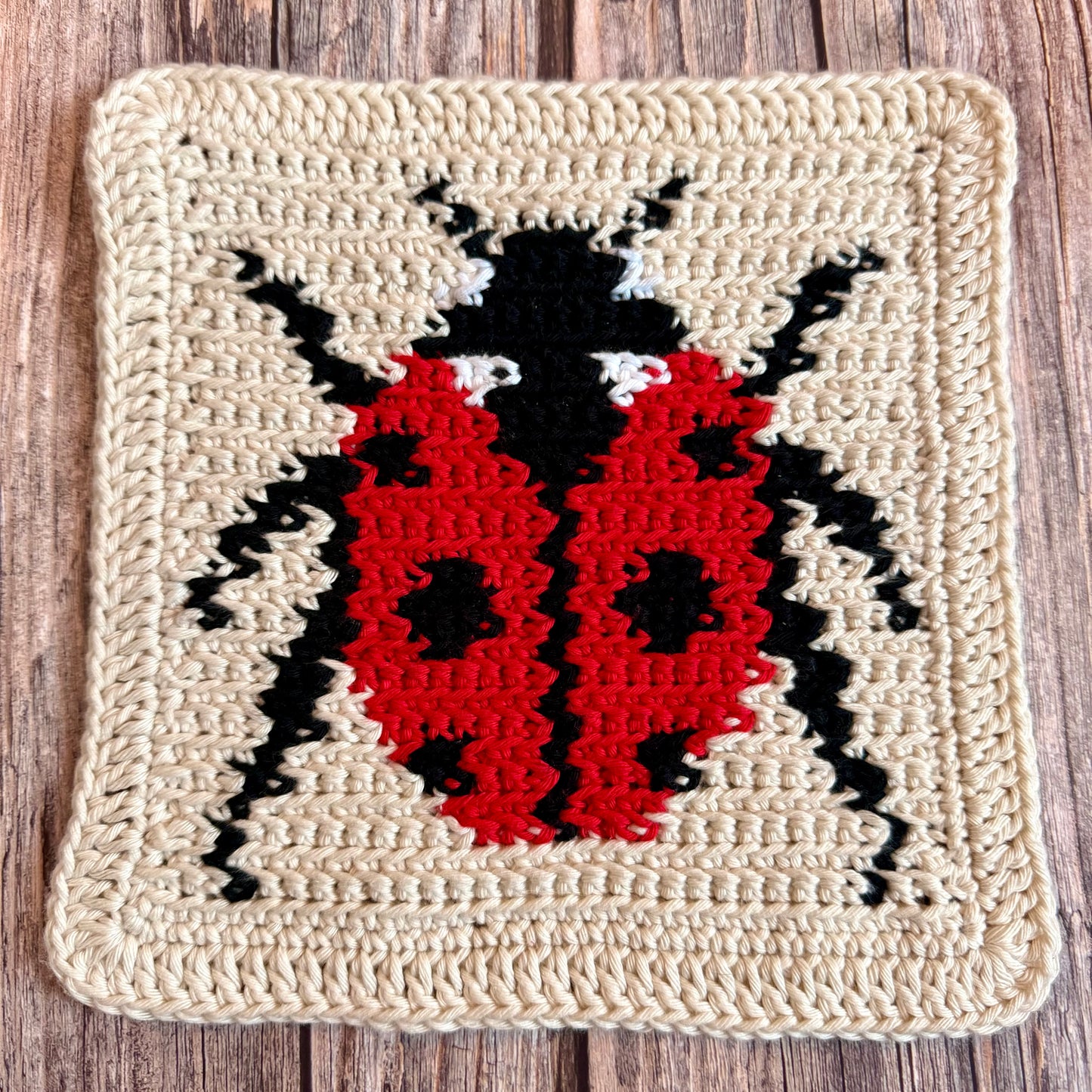 Ladybird Tapestry Crochet Pattern: Dishcloth or Washcloth Ladybug Pattern