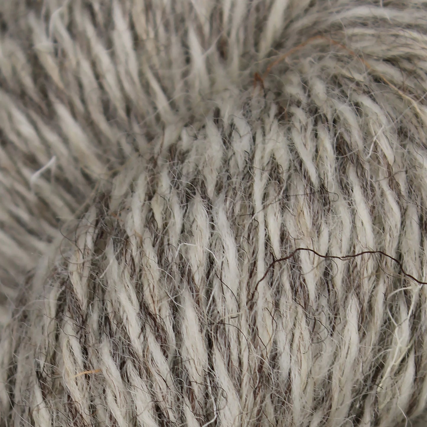 Pure British Breeds DK Yarn by Baa Ram Ewe, 100g Hank, Undyed Wool Yarn