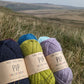 Baa Ram Ewe Pip Colourwork, 4ply Yarn 25g