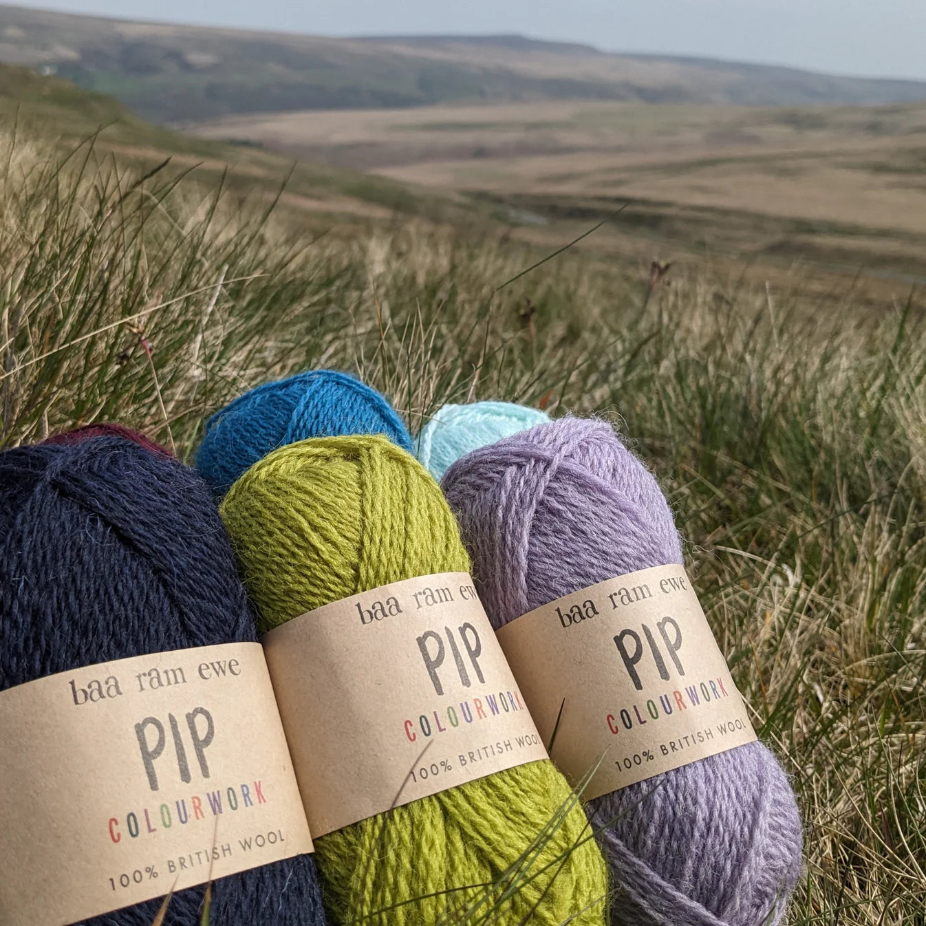 Baa Ram Ewe Pip Colourwork, 4ply Yarn 25g