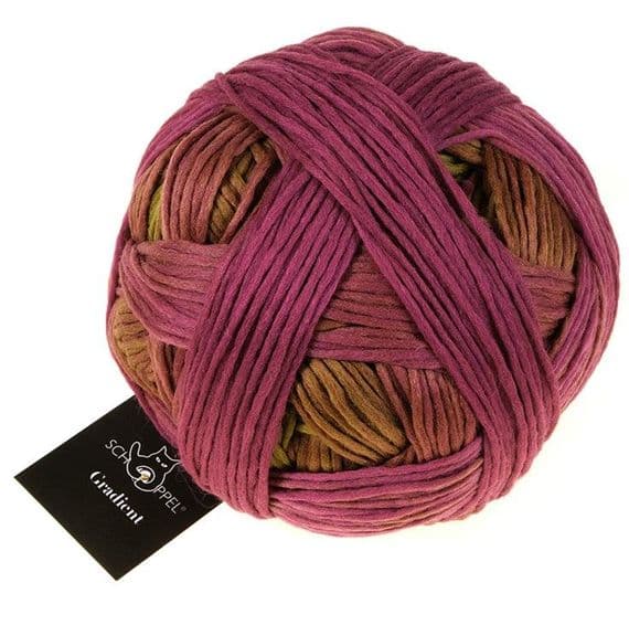 Schoppel Wolle Gradient Yarn 100g