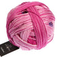 Schoppel Wolle Gradient Yarn 100g