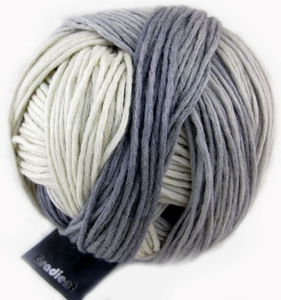 Schoppel Wolle Gradient Yarn 100g