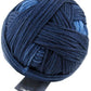 Schoppel Wolle Gradient Yarn 100g