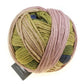 Schoppel Wolle Gradient Yarn 100g